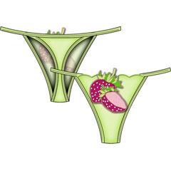 Wild Berry Side String Thong Small Lime Wild Berry Side String Thong Small Lime
