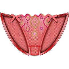 Jewel Of The Nile Skinny Side Bikini Small Red Jewel Of The Nile Skinny Side Bikini Small Red
